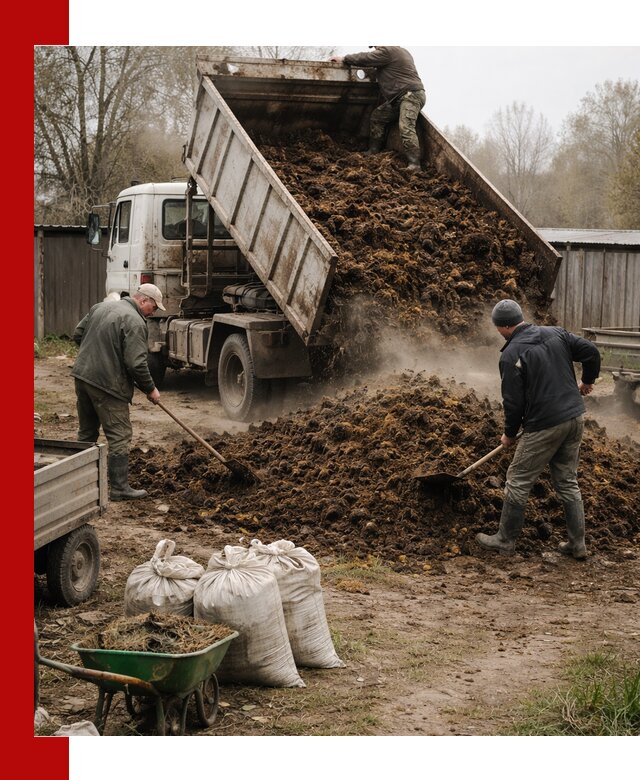 Доставка коровьего навоза самосвалом в Ишиме